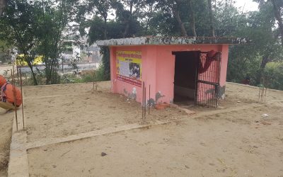 Mandir Work10